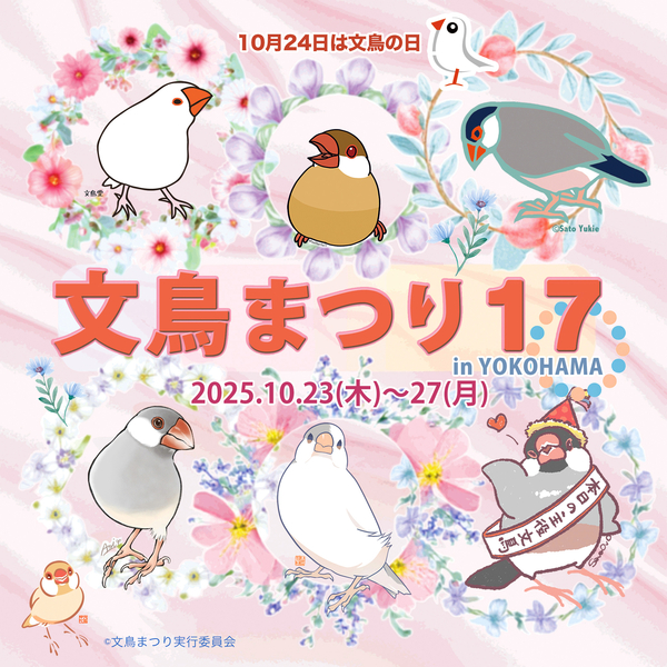 【横浜店】文鳥まつり17 in YOKOHAMA