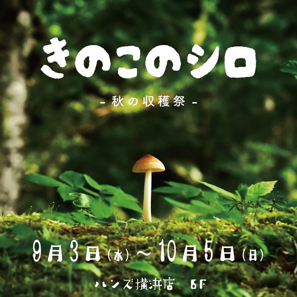 【横浜店】きのこのシロ　-秋の収穫祭-
