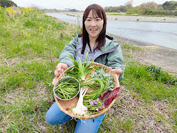 【きのこのシロ】３６５日野草生活　野草散歩③.jpg